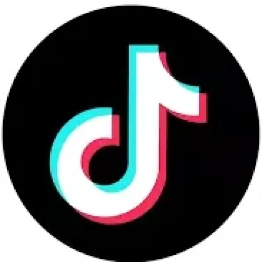 Download Video TikTok Tanpa Watermark